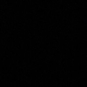 Meet your Posher, Tony